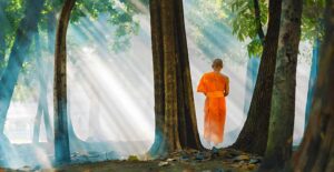 la meditazione vipassana
