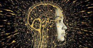 Meditazione e cervello