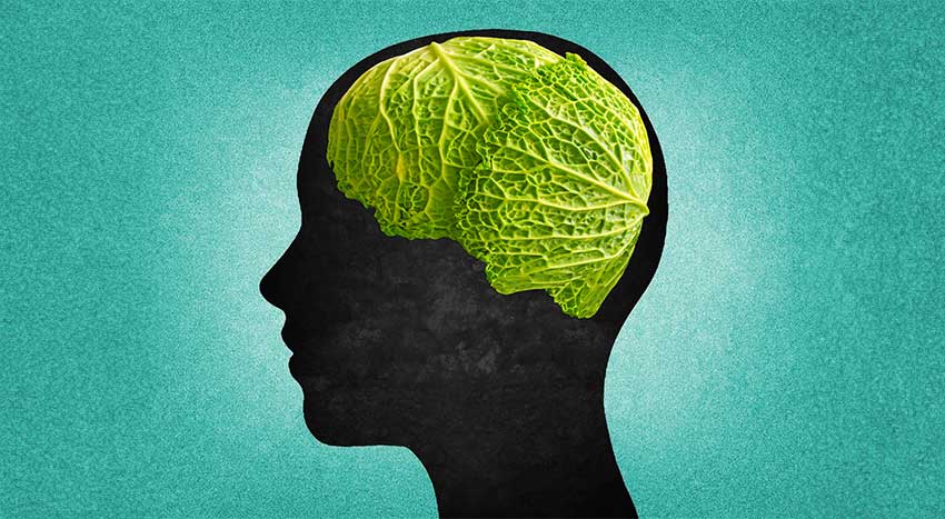 nutrizione e funzioni cognitive