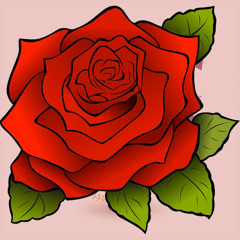 Cover buono regalo